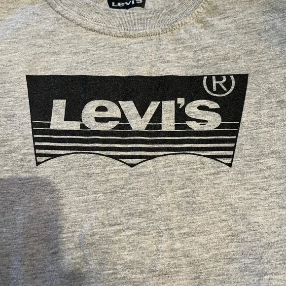Kids Levi's Light Gray Short Sleeve Crew Neck Tee - Picture 2 of 3